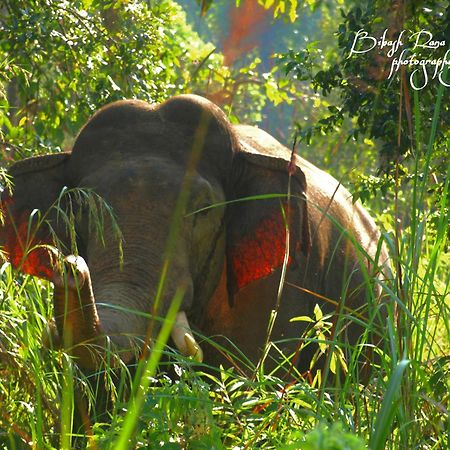 Mr. B'S Place Bardiya 외부 사진