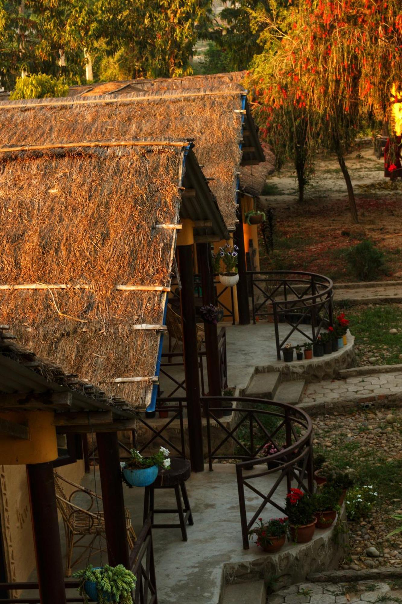 Mr. B'S Place Bardiya 외부 사진